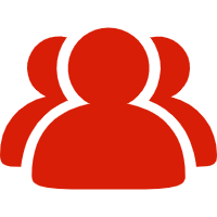 PROFESSIONAL SERVICE