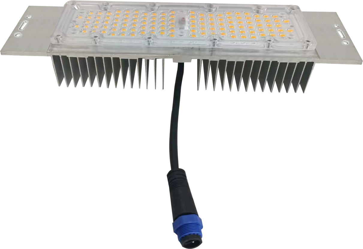 72 In one Power 100W 300×95×47mm,DC48V LED Module