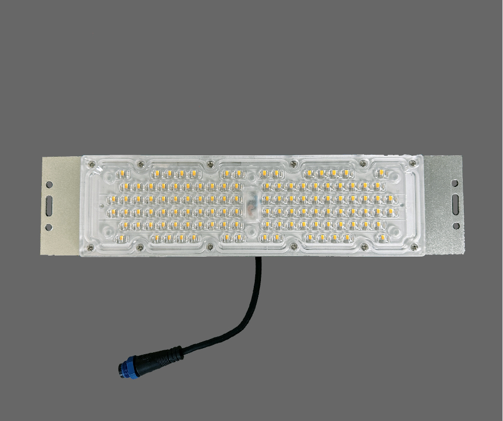 LED Module